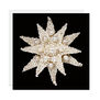 Pearl Star Christmas cards (pack of 8)